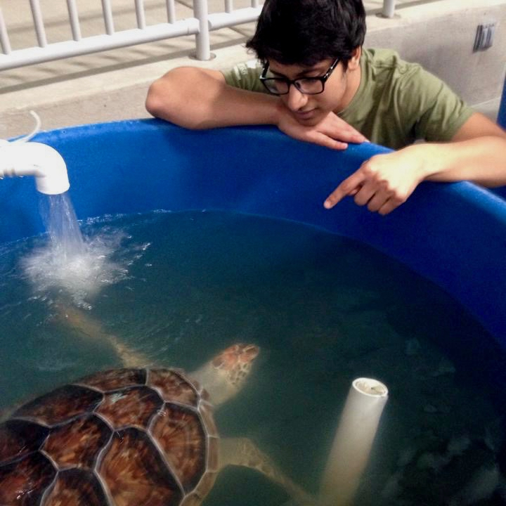 Moaz and team cleaning sea turtle tanks at Karen Beasley Sea Turtle Rehabilitation Center